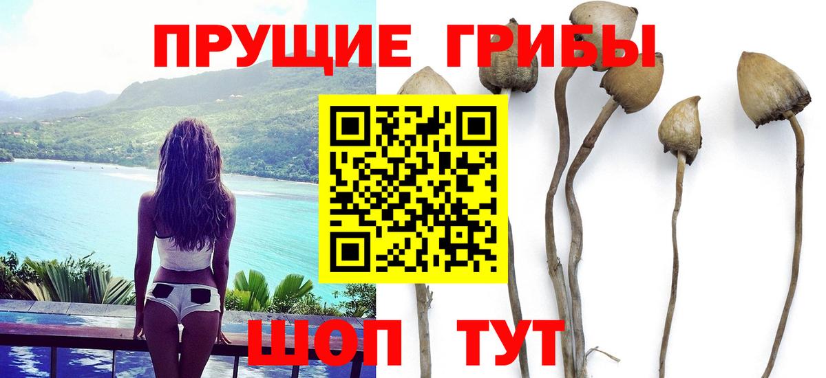 Наро-Фоминск  Галлюциногенные грибы мицелий  Вход с VPN 